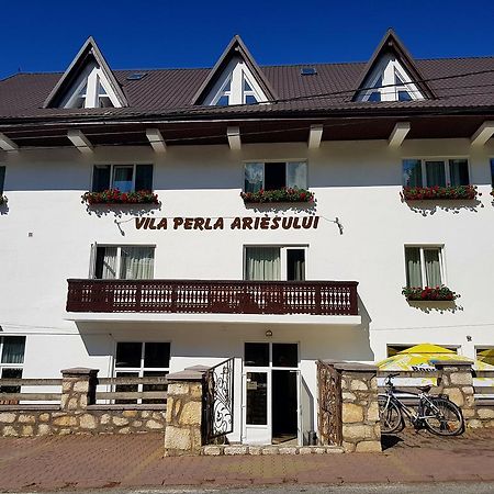Pensiunea Perla Ariesului Albac Bagian luar foto