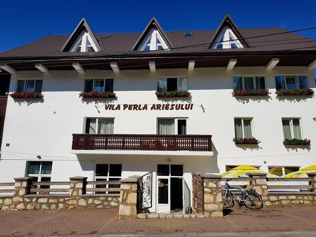 Pensiunea Perla Ariesului Albac Bagian luar foto